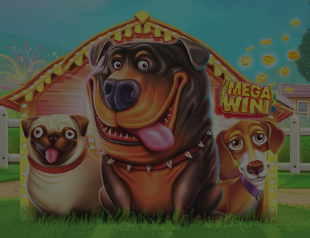 The Dog House